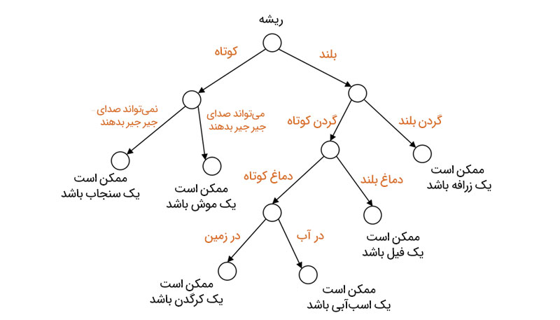 درخت تصمیم
