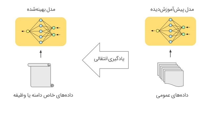 داده های خاص
