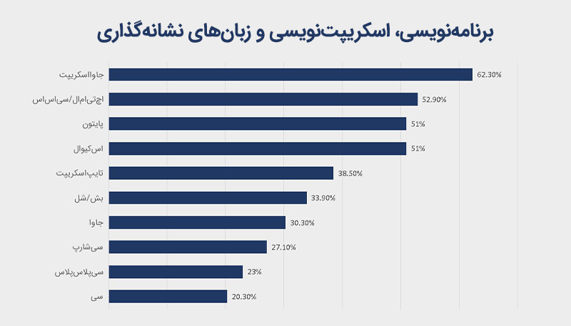برنامه نویسی، اسکریپت نویسی و زبان های نشانه گذاری
