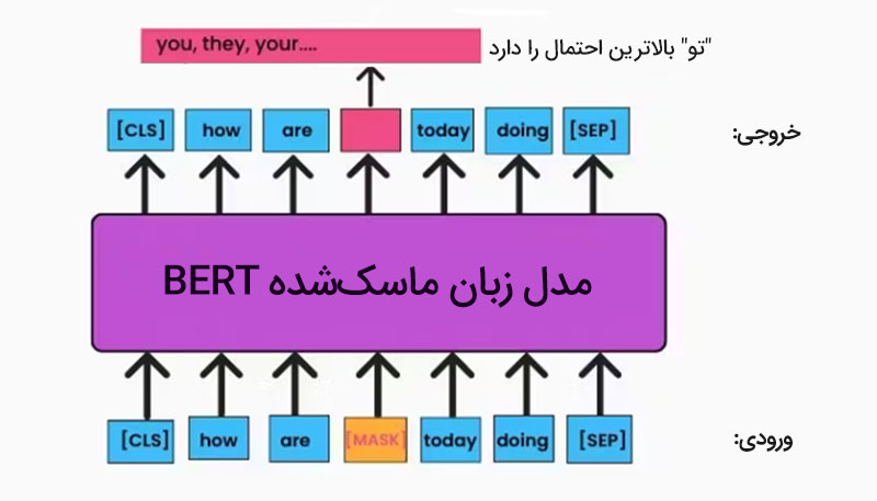 مدل زبان ماسک شده برت