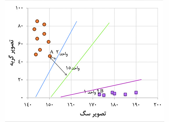 ماشین بردار پشتیبان (SVM - Support Vector Machine)
